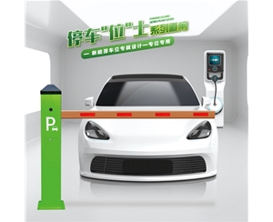 蒙阴RG-CW系列车位小道闸
